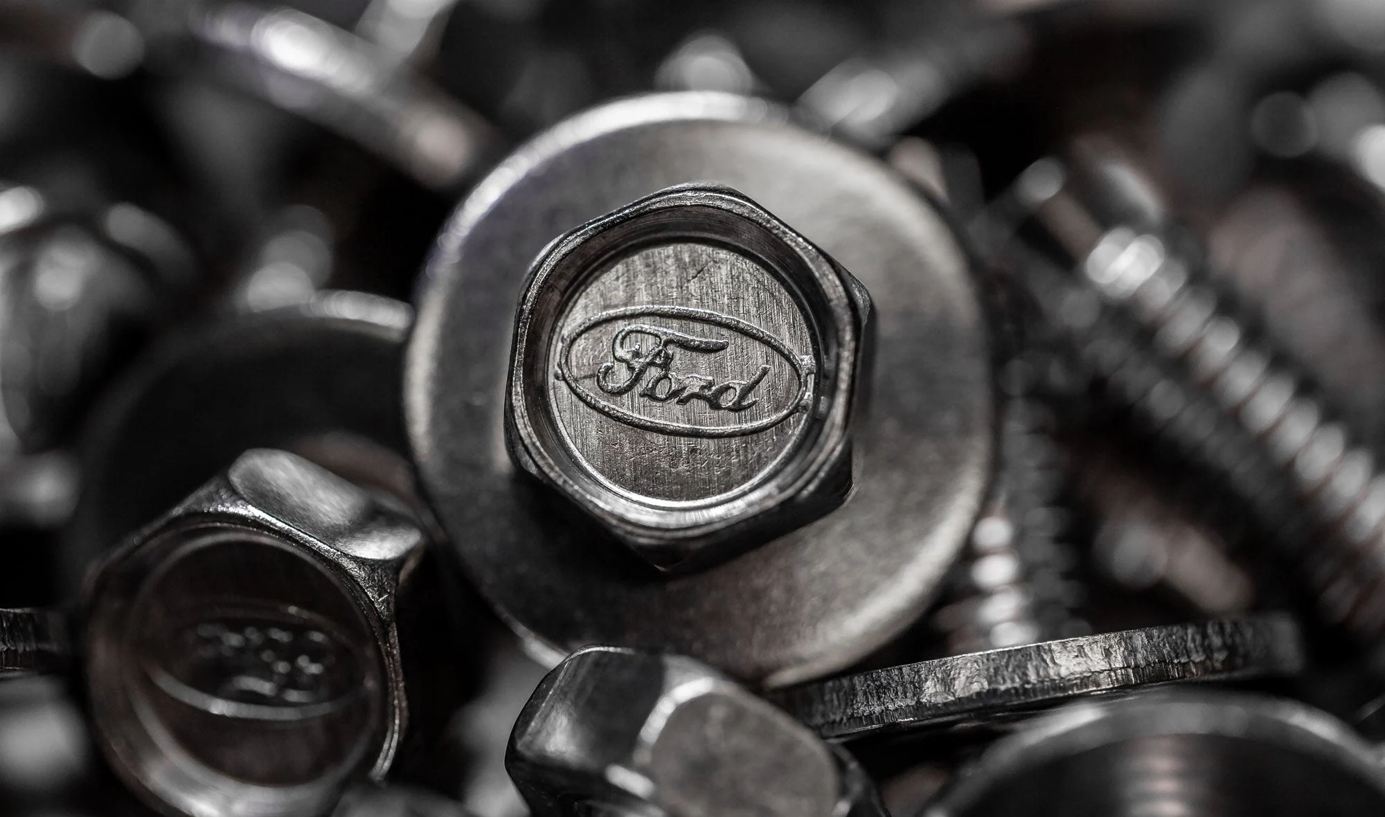 Stainless Bronco Bolt w/Ford Logo
