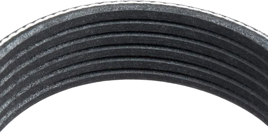 Serpentine Belt – Explorer 5.0 Front Drive