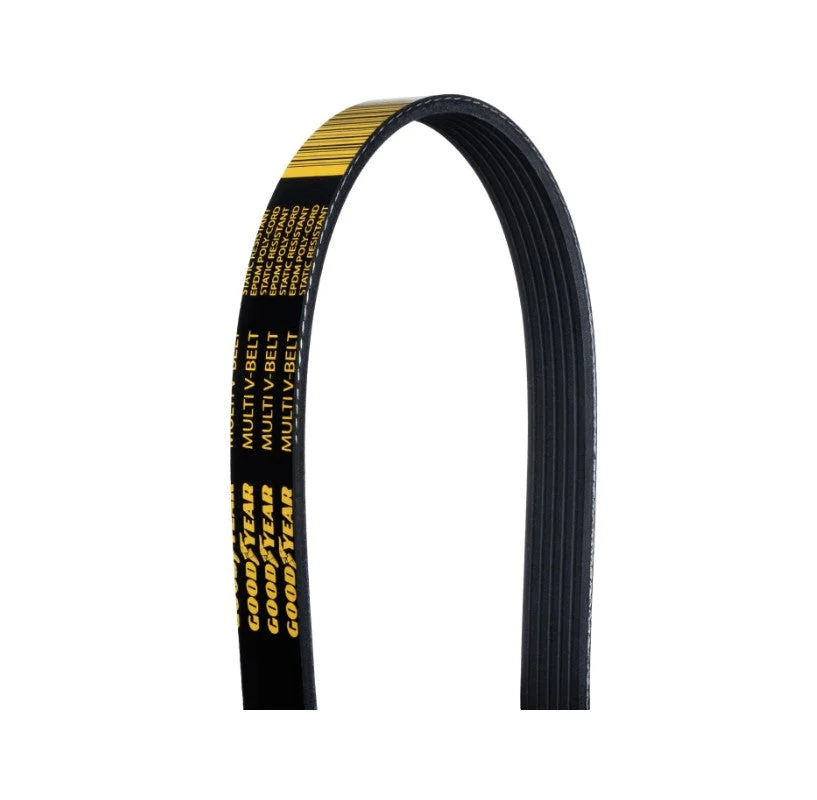 Alternator Serpentine Belt, Coyote 5.0 with A/C