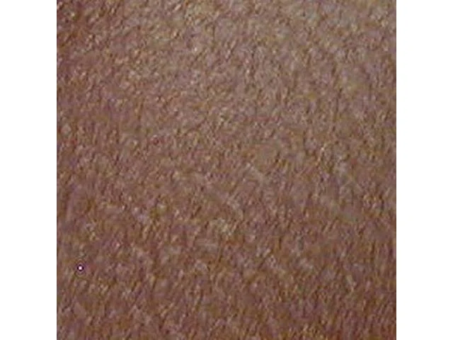 Madrid Grain Vinyl Yardage, Bronze, 54 inch X 72 inch section, rolled