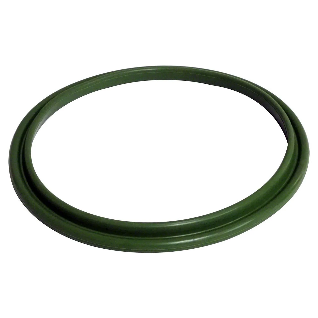 Fuel Pressure Regulator Seal (11-23 Challenger)