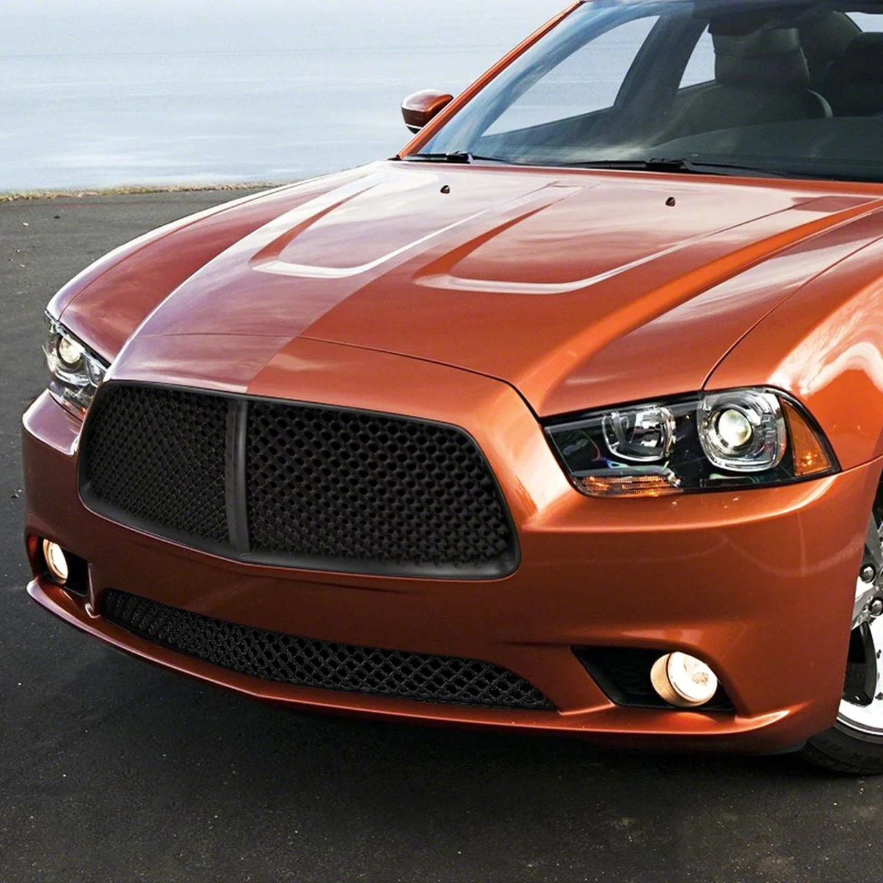 Mesh Lower Grille; Black (11-14 Charger)