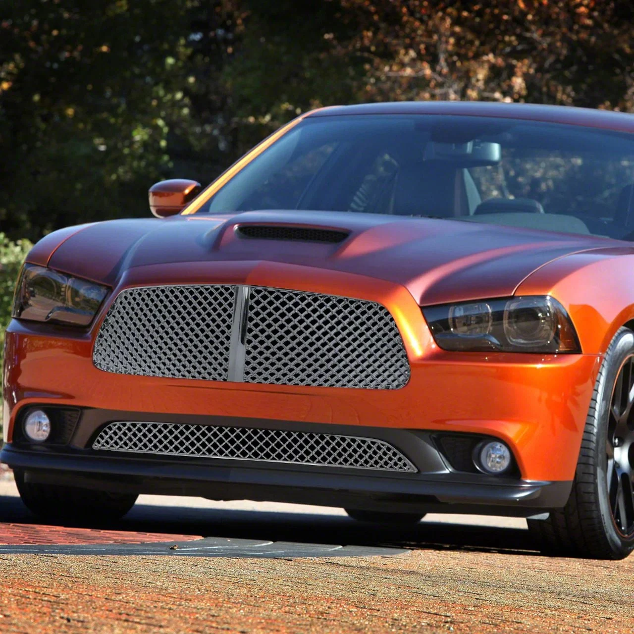 Mesh Lower Grille; Chrome (11-14 Charger)