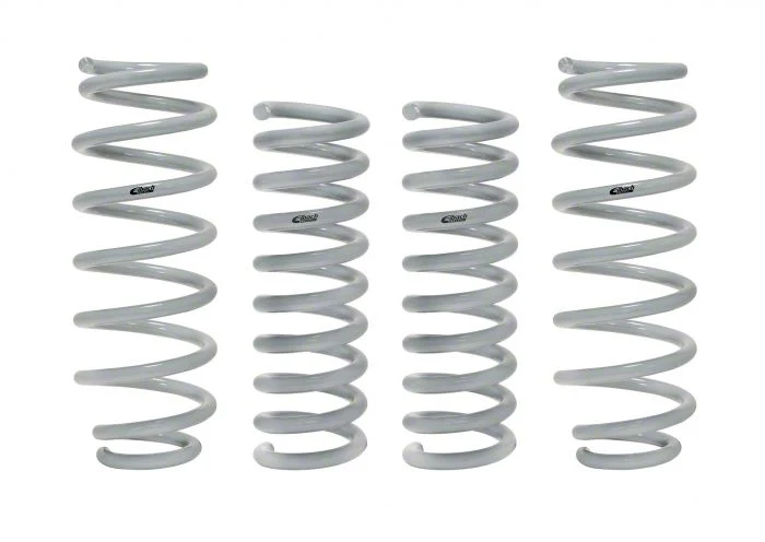 Eibach Drag-Launch Springs (06-23 V8 HEMI RWD Charger w/o Self Leveling)