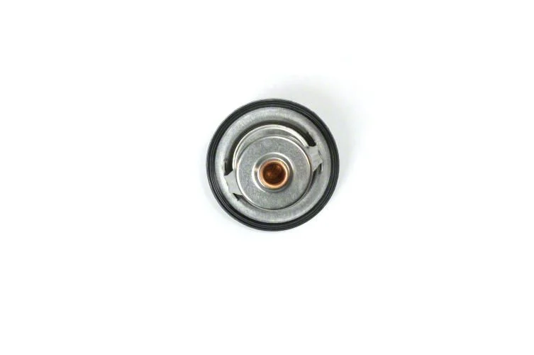 Livernois Motorsports EvenFlo Hi Performance Thermostat; 180 Degree (06-23 V8 HEMI Charger)