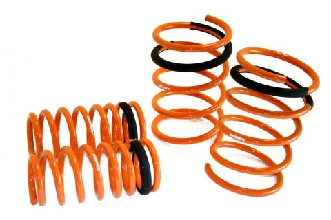 2002-2004 Acura RSX (Base Model) Lowering Springs