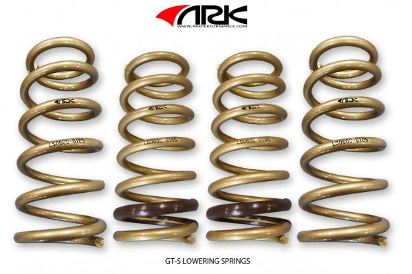 2000-2009 Honda S2000 GT-S Lowering Springs | ARK - LS0600-0105