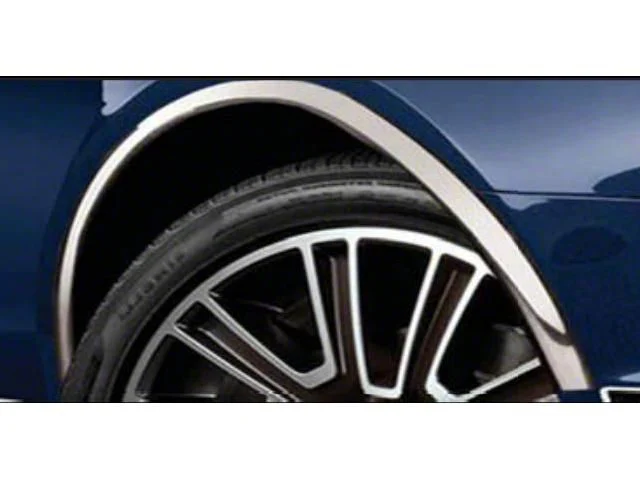 Wheel Well Fender Trim Molding; Stainless Steel (10-12 Mustang)